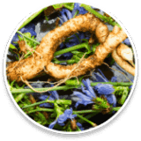 Sleep Lean Ingredients Inulin (fructo-oligosaccharides)